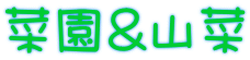 菜園&山菜 