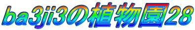 ba3ji3の植物園28 