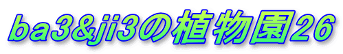 ba3&ji3の植物園26 